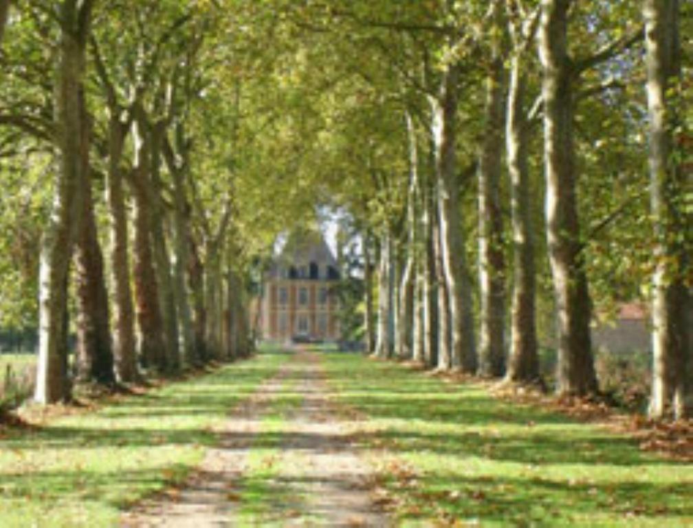 Chateau De Villars Villeneuve-sur-Allier Exterior foto